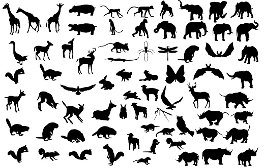 Large animal silhouette collection containing giraffe, hippo, monkey, gorilla, elephant, rhino, deer, squirrel, bird, beaver, mouse, spider, lizard, dragon fly, duck, owl, lamb, rabbit, and bat.