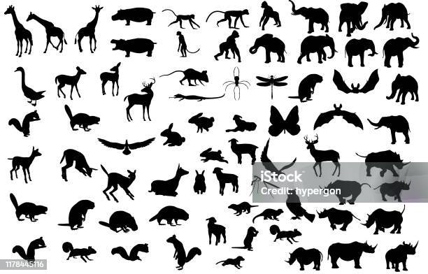 Large Animal Silhouette Collection Stock Illustration - Download Image Now  - Animal, In Silhouette, Icon - iStock