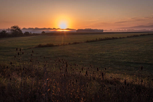 istock Sunrise over a farm field in early fall 1178451231