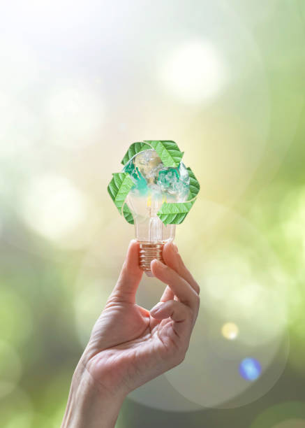 Ecology, energy saving, renewable, waste management and sustainable development concept with lightbulb with recycle leaves environmental protection symbol in people hand