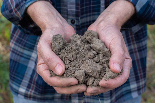 istock Farm hands with fertile soil 1178451530
