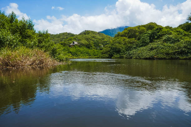 istock lake view, clouds are reflected in the water 1178453797