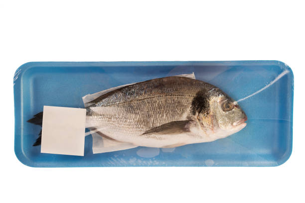 istock Gilthead raw fish in a styrofoam container at the supermarket. 1178457514