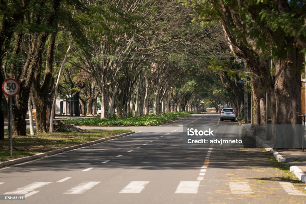 Wooded avenue in Maringá, Paraná, Brazil. Covered street. Tree-lined avenue in Maringá, Paraná, Brazil. Brazil Stock Photo