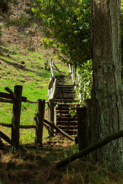 istock Parque San Francisco Cundinamarca 1178464570
