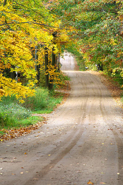 istock Serenity Single Lane Dirt Road in Autumn 117846465