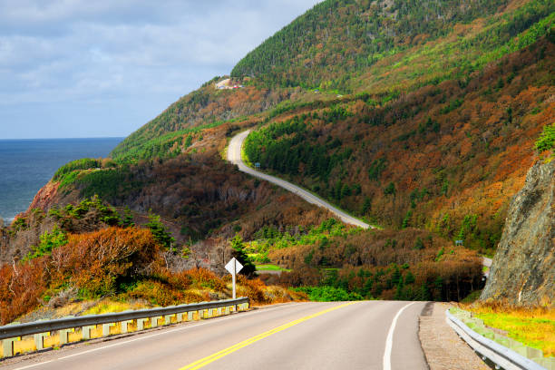 Foliage in Cabot Trail, Cape Breton, Nova Scotia, Canada Foliage in Cabot Trail, Cape Breton, Nova Scotia, Canada gulf of st lawrence photos stock pictures, royalty-free photos & images
