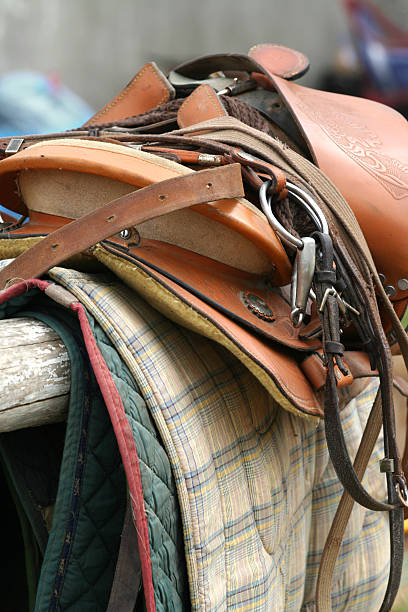 istock Saddle Up / Horse Equipment  close-up 117847843