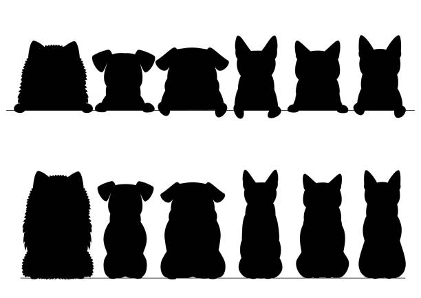 маленькие собаки и кошки силуэт границы набор, верхней и полной части тела - dog group of animals variation in a row stock illustrations