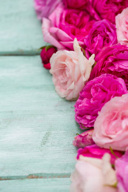 istock beautiful garden roses on turquoise wooden surface 1178478462