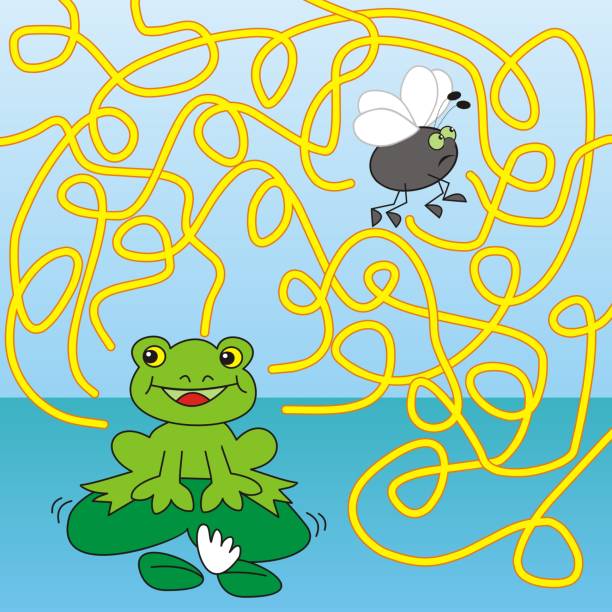 illustrazioni stock, clip art, cartoni animati e icone di tendenza di labirinto, rana e mosca casalinga, eps. - frog catching fly water