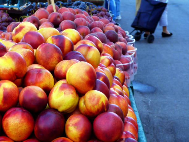 istock Fruit stand close-up with colorful nectarines in open market 1178483327