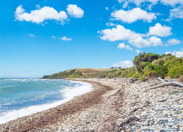 istock Lillico Beach in Tasmania 1178486094