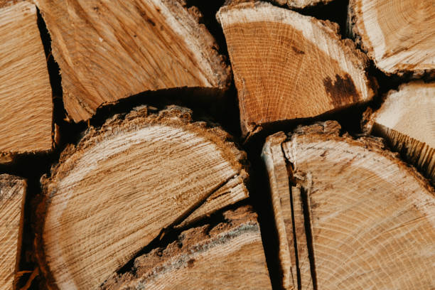 istock Chopped firewood stacked on veranda 1178489604