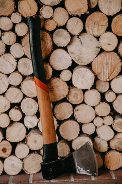 istock Broom stands in front of chopped wood 1178489950