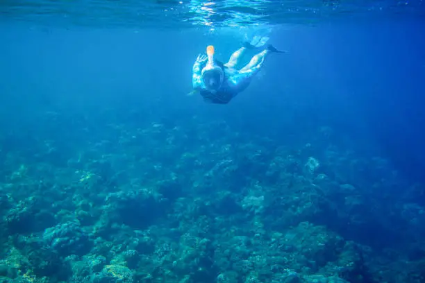 Woman dives in coral reef. Girl snorkeling in full-face mask. Snorkel person underwater photo. Snorkeling mask undersea. Freediver in blue seawater of tropical lagoon. Diving girl in open water