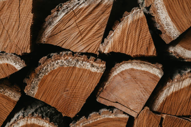 Chopped firewood stacked in rows close up