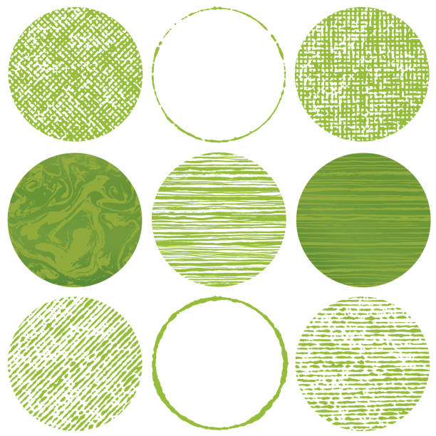 ilustraciones, imágenes clip art, dibujos animados e iconos de stock de conjunto de círculos de trazo de pincel. imagen de té verde. - green tea illustrations