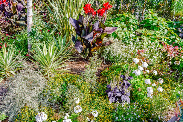 istock flowerbed in bloom in the garden 1178496717