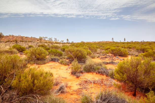 istock landscape scenery of the Australia outback 1178497139