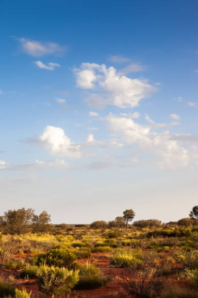 istock landscape scenery of the Australia outback 1178497140