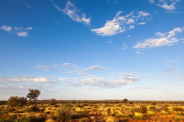 istock landscape scenery of the Australia outback 1178497145