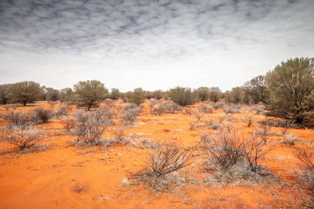 istock landscape scenery of the Australia outback 1178497146