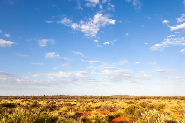 istock landscape scenery of the Australia outback 1178497150