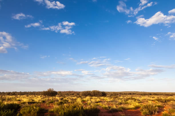 istock landscape scenery of the Australia outback 1178497153