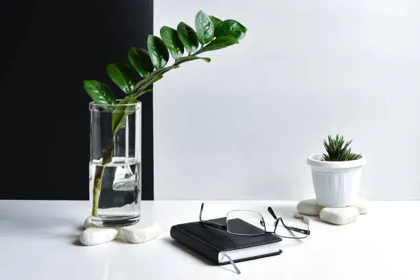 Photo of Business still life. Zamiokulсas branch in a vase, organizer and glasses on a black and white background