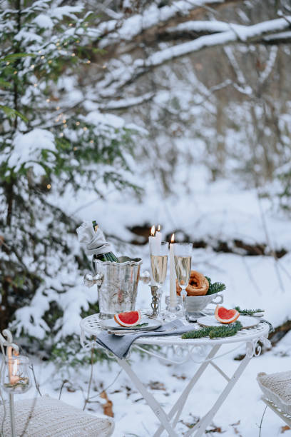 istock Romantic dinner in the winter forest 1178511278