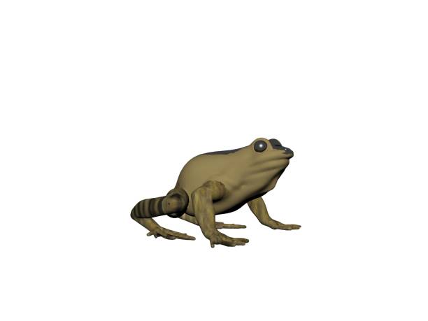 istock Frog green animal front view, isolated on white, shadow - 3d rendering 1178515805