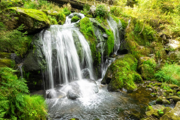 chute d'eau à triberg dans la zone de forêt noire allemagne - triberg photos et images de collection