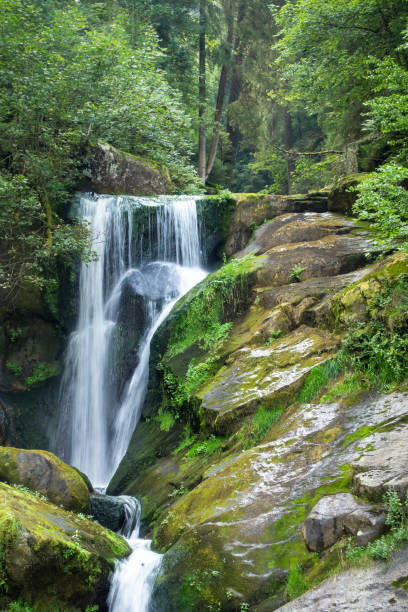 istock waterfall at Triberg in the black forest area Germany 1178515981