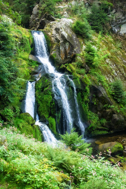 istock waterfall at Triberg in the black forest area Germany 1178515990