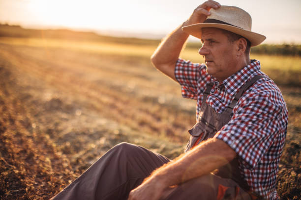 istock An elderly farmer looks at a field of harvested wheat 1178516111