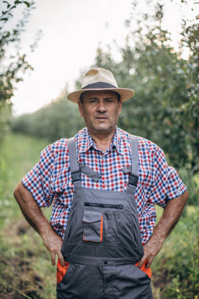 istock The farmer is pleased with the apple orchard 1178516665