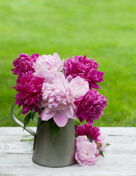 istock Peony flowers bouquet 1178517520