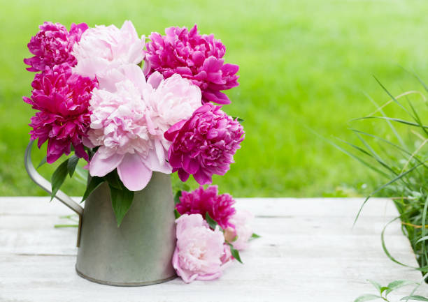 istock Peony flowers bouquet 1178517538