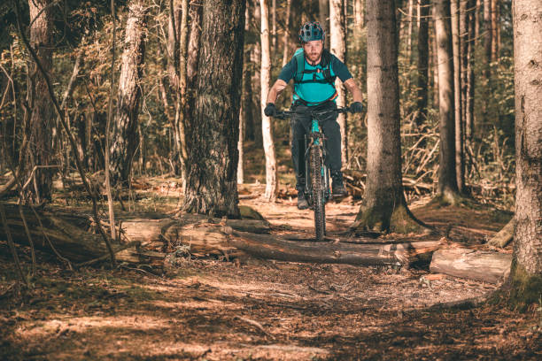 istock Mountain biking in the scandinavian woods 1178521725