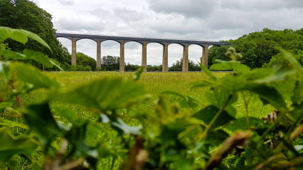 istock A view from bush at aqueduct under cloudy sky in England. 1178522378