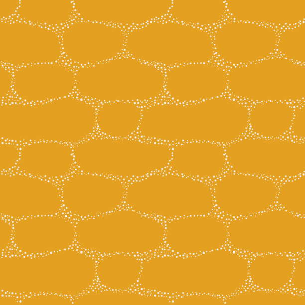 Hand drawn organic abstract white cell structure design. Seamless geometric vector pattern on orange background. Great for wellbeing, food, spa products, packaging, texture, concept, packaging Hand drawn organic abstract white cell structure design. Seamless geometric vector pattern on orange background. Great for wellbeing, food, spa products, packaging, texture, concept, packaging. human cell illustrations stock illustrations