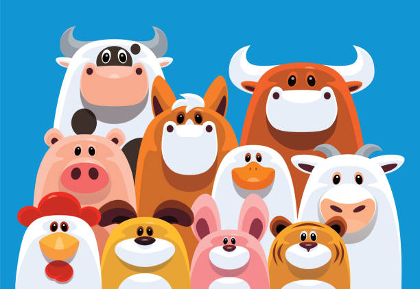 illustrazioni stock, clip art, cartoni animati e icone di tendenza di gruppo di animali da fattoria raccolta - farm animal cartoon cow