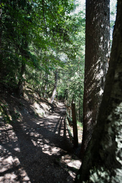 trentino alto adige, italie: les dolomites - pyramides de la terre de ritten, tyrol du sud - footpath european alps fence woods photos et images de collection