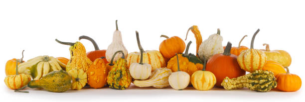 istock Assortiment of pumpkins on white 1178525288