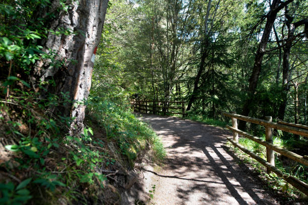 trentino alto adige, włochy: dolomity - ziemia piramidy ritten, południowy tyrol - footpath european alps fence woods zdjęcia i obrazy z banku zdjęć