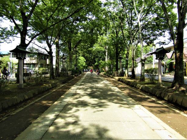 omotesando - road to temple - pedestrian street in the center of omiya city, saitama , japan - tranquil scene sky street road imagens e fotografias de stock