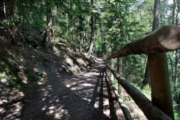 trentino alto adige, italie: les dolomites - pyramides de la terre de ritten, tyrol du sud - footpath european alps fence woods photos et images de collection