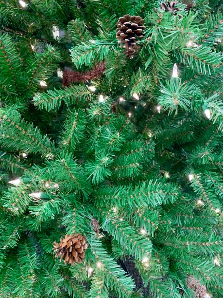 istock Green evergreen background for holidays 1178531075