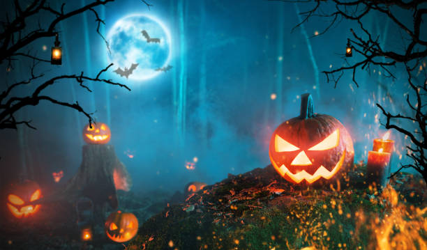 istock Spooky halloween pumpkins in dark forest 1178533242